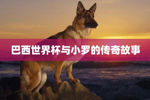 賈青最新信息，璀璨演藝之路與未來(lái)展望，賈青演藝之路璀璨閃耀，最新動(dòng)態(tài)與未來(lái)展望重慶水生網(wǎng)生態(tài)農(nóng)業(yè)發(fā)展有限公司