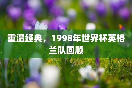 衡水高光新聞最新消息，衡水高光新聞最新動態(tài)更新